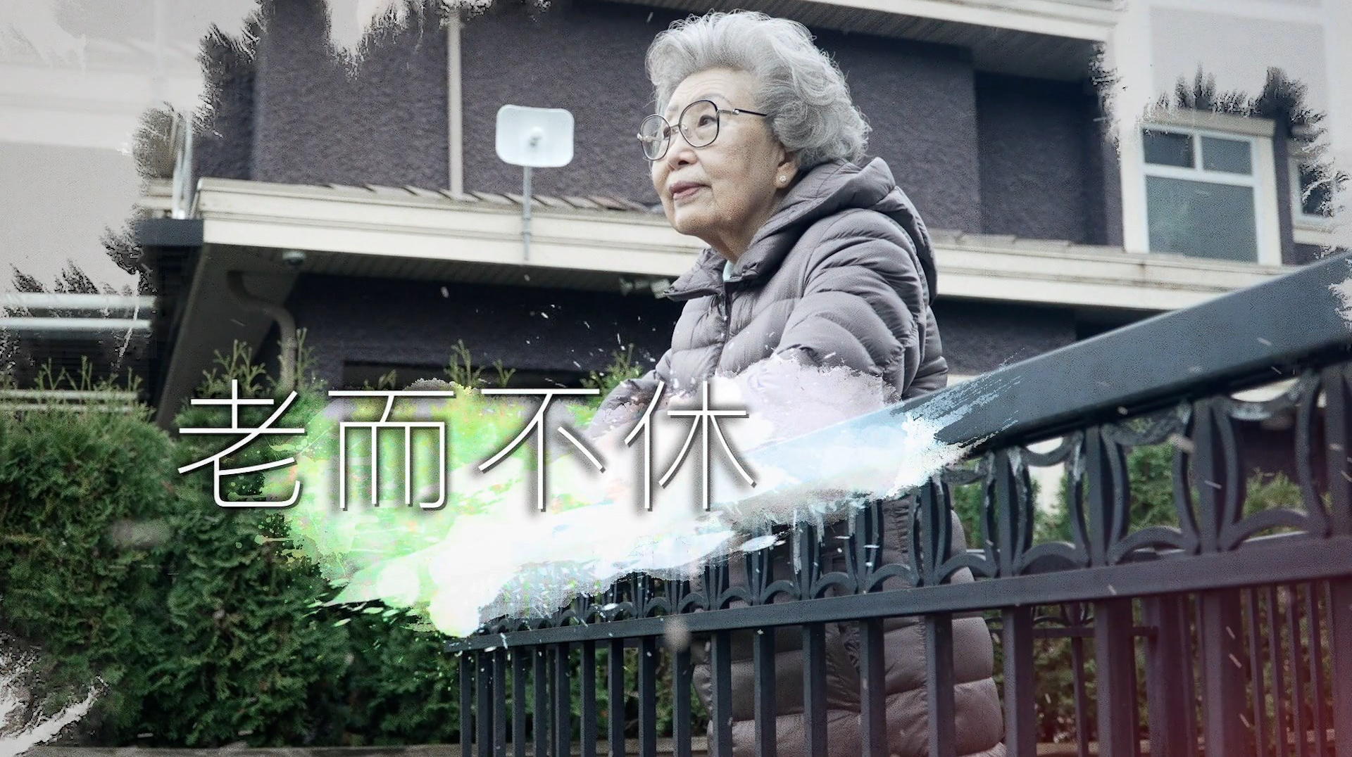 《老而不休》(粵語)(加拿大系列) SV1858